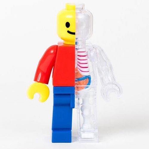 PRE ORDER Brick Man Anatomy Model Kit